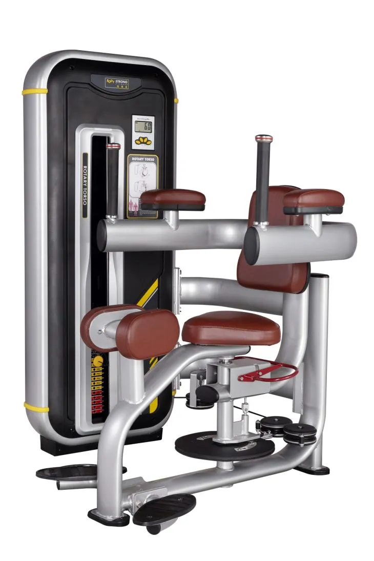 Torso Rotation With A Good Price