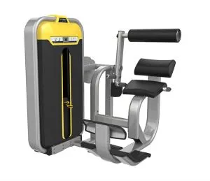 Commercial Gym Equipment BMW-009 Back Extension