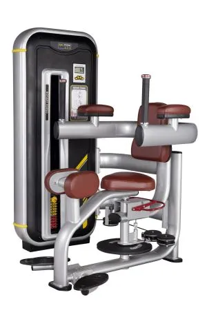 Strength Equipment Of Torso Rotation BN-011